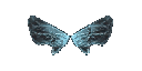 Wings of Elf +9 Wings of Elf +9