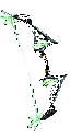 Albatross Bow Albatross Bow