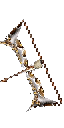 Silver Bow +8
